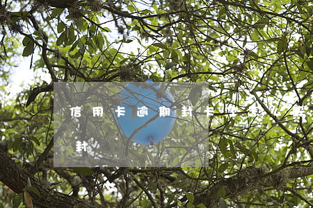 信用卡逾期封卡了怎么解封(逾期封卡可以解封嗎)