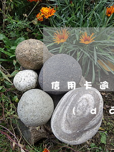 信用卡逾期封卡原則(什么情況會(huì)導(dǎo)致信用卡封卡)