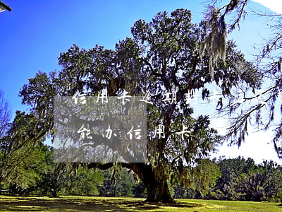 信用卡逾期封卡后还款还能用吗(逾期过后还能办信用卡)