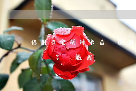 信用卡逾期封卡后還能用嗎(逾期的信用卡被凍結了還能用嗎)