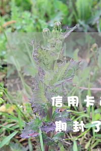 信用卡逾期封卡很久了怎么辦-欠信用卡逾期封了房子
