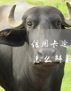 信用卡逾期封卡怎么解封6(信用卡逾期封卡怎么解封6)