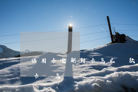 信用卡逾期封卡怎么還款比較好(逾期還信用卡會怎樣)