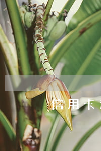 信用卡逾期封卡怎么開卡