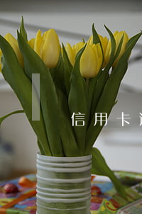 信用卡逾期封卡怎么開卡槽