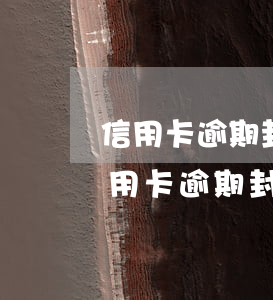 信用卡逾期封卡恢復(fù)不了怎么辦(信用卡逾期封卡恢復(fù)不了怎么辦呢)