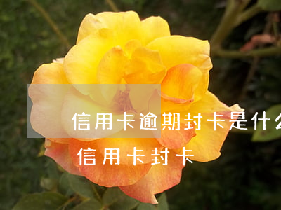 信用卡逾期封卡是什么意思(什么情况会导致信用卡封卡)