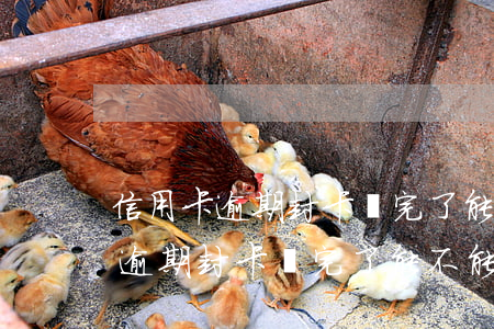 信用卡逾期封卡還完了能不能解封-信用卡逾期封卡還完了能不能解封了