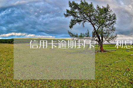 信用卡逾期封卡還會利息(信用卡 逾期利息)
