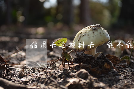 信用卡逾期封卡還能不能用