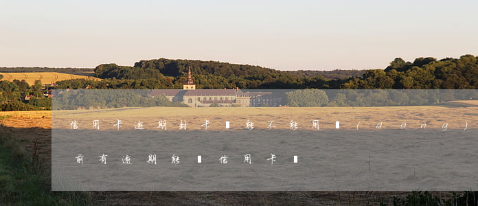 信用卡逾期封卡還能不能用 當(dāng)前有逾期能辦信用卡嗎