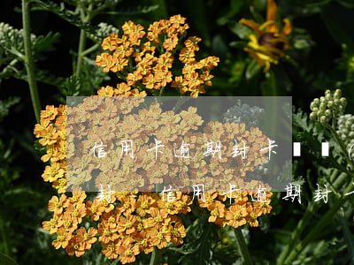 信用卡逾期封卡還進(jìn)去會不會解封-信用卡逾期封卡還進(jìn)去會不會解封了