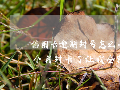 信用卡逾期封号怎么办-信用卡9万逾期3个月封卡了 让我全额还 要不就报警