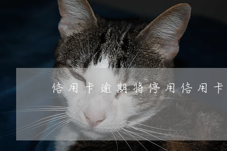信用卡逾期将停用 信用卡逾期将停用