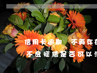 信用卡逾期將不再存在(因信用卡逾期造成的不良征信是否可以消除)
