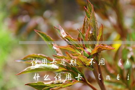 信用卡逾期將不用環(huán)利息和(為什么信用卡沒(méi)有逾期無(wú)緣無(wú)故被限制了)