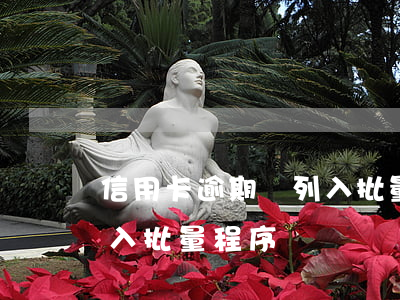 信用卡逾期將列入批量程序(信用卡逾期將列入批量程序)