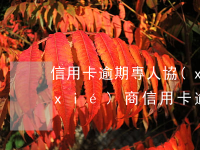 信用卡逾期專人協(xié)商 找律師協(xié)商信用卡逾期