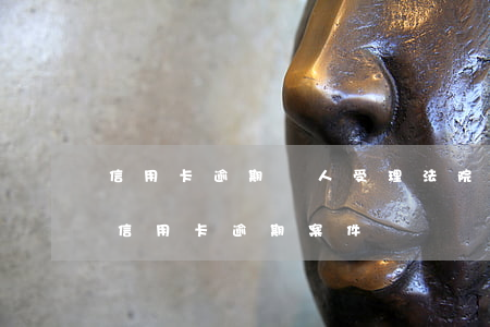 信用卡逾期專人受理(法院會(huì)受理信用卡逾期案件嗎)