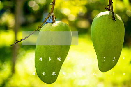 信用卡逾期專人負(fù)責(zé)(借信用卡逾期有什么責(zé)任)