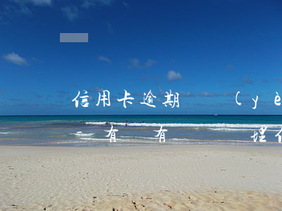 信用卡逾期專業(yè)處理團隊費用貴嗎-有沒有專門處理信用卡逾期的公司