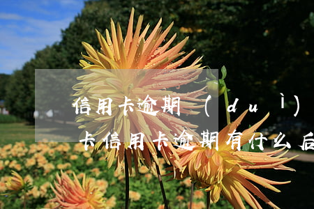 信用卡逾期對(duì)信用影響大嗎(銀行卡信用卡逾期有什么后果)
