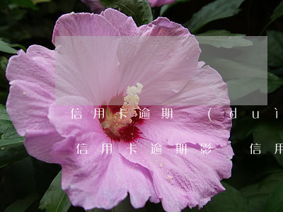 信用卡逾期對(duì)信譽(yù)影響(信用卡逾期影響信用嗎)