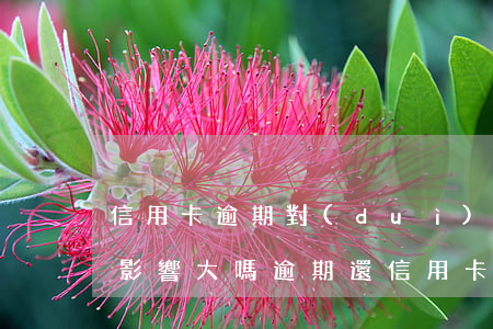 信用卡逾期對(duì)個(gè)人征信影響大嗎(逾期還信用卡影響征信嗎)