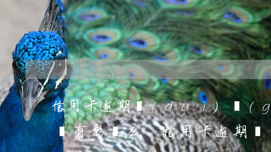 信用卡逾期對(duì)個(gè)體工商戶有影響么-信用卡逾期對(duì)個(gè)體工商戶有影響么嗎