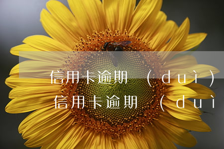 信用卡逾期對(duì)前妻有什么影響嗎（信用卡逾期對(duì)前妻有什么影響）