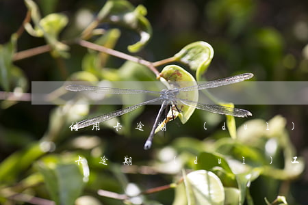 信用卡逾期對(duì)單位有影響嗎(信用卡逾期對(duì)工作單位有影響嗎)