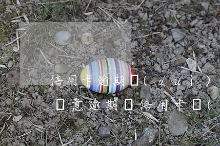 信用卡逾期對(duì)妻子有影響嗎 配偶惡意逾期還信用卡,對(duì)配偶有影響嗎