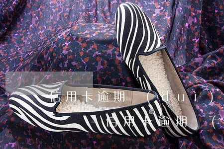 信用卡逾期對(duì)子女考教師證有影響嗎-信用卡逾期對(duì)子女考教師證有影響嗎知乎