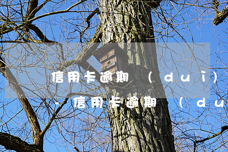 信用卡逾期對(duì)孩子上班有影響嗎-信用卡逾期對(duì)孩子上班有影響嗎知乎