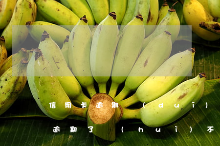 信用卡逾期對(duì)微信影響嗎(信用卡逾期了會(huì)不會(huì)凍結(jié)微信)