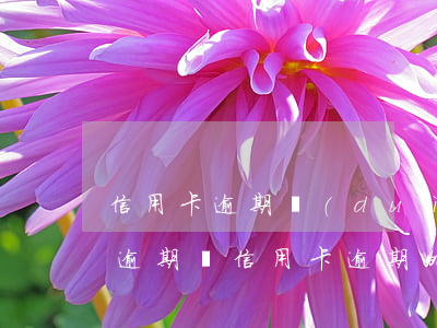 信用卡逾期對(duì)房貸影響多少(貸款逾期與信用卡逾期的后果是什么)