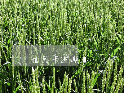 信用卡逾期對(duì)拿社保有影響嗎