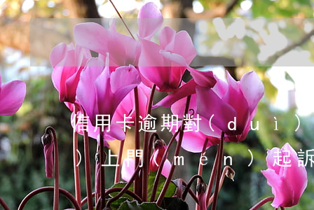信用卡逾期對(duì)方稱(chēng)上門(mén)起訴(欠信用卡法院會(huì)上門(mén)嗎)