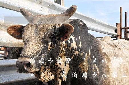 信用卡逾期對(duì)方讓借錢(qián)-欠信用卡人家上門(mén)來(lái)怎么協(xié)商