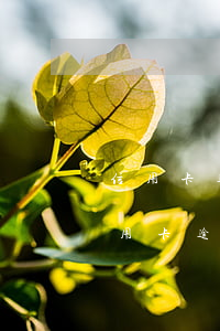 信用卡逾期對(duì)正在償還的房貸 信用卡逾期對(duì)正在償還的房貸