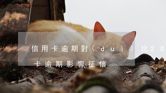 信用卡逾期對(duì)比(2021年信用卡逾期影響征信)