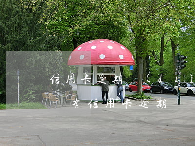 信用卡逾期對(duì)注冊(cè)公司-有信用卡逾期記錄可以注冊(cè)公司嗎