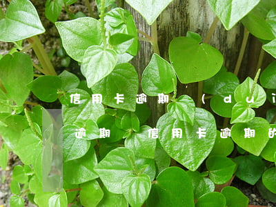 信用卡逾期對(duì)理賠有影響嗎(貸款逾期與信用卡逾期的后果是什么)