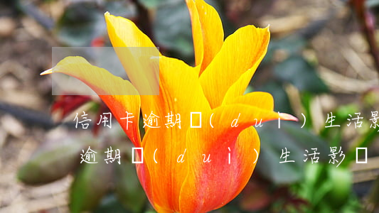 信用卡逾期對(duì)生活影響-信用卡逾期對(duì)生活影響