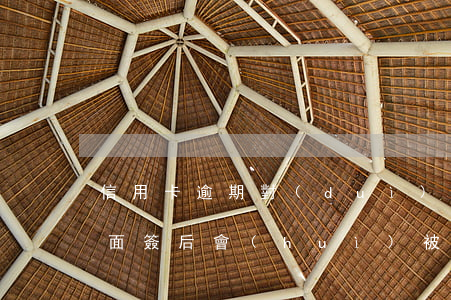 信用卡逾期對(duì)簽證(逾期過信用卡面簽后會(huì)被拒嗎)