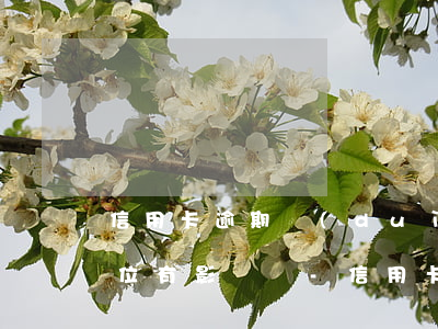 信用卡逾期對(duì)考事業(yè)單位有影響嗎-信用卡逾期對(duì)考事業(yè)單位有影響嗎知乎