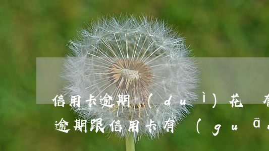 信用卡逾期對(duì)花唄有影響沒(花唄逾期跟信用卡有關(guān)系嗎)