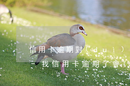 信用卡逾期對(duì)號(hào)入座-我信用卡逾期了會(huì)影響工作嗎