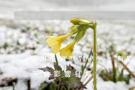 信用卡逾期對etc有影響嗎(拖欠etc會不會影響征信)