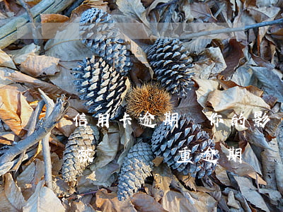 信用卡逾期對你的影響(什么情況下信用卡會被認為嚴重逾期)
